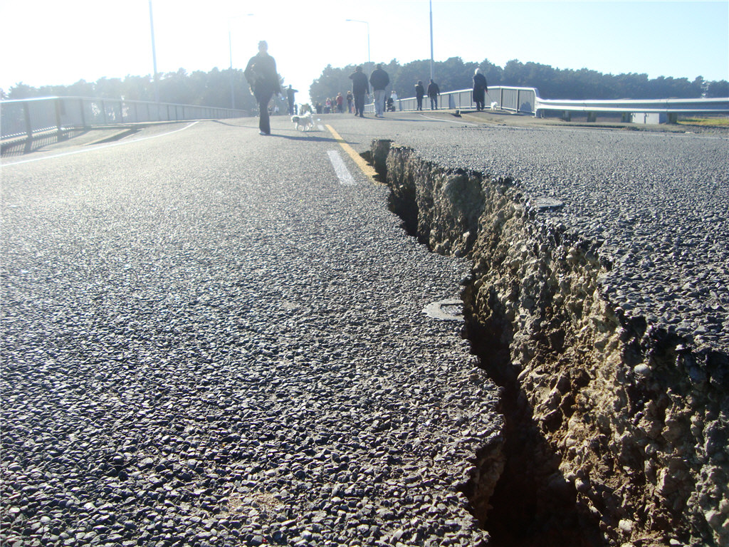 THE VARYING DAMAGE OF THE CHRISTCHURCH EARTHQUAKES